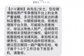 萨嘎遇到恶意拖欠？专业追讨公司帮您解决烦恼